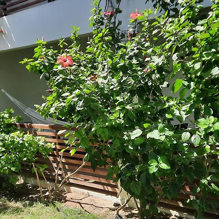 Willa Casa Betti Jijoca de Jericoacoara Zewnętrze zdjęcie