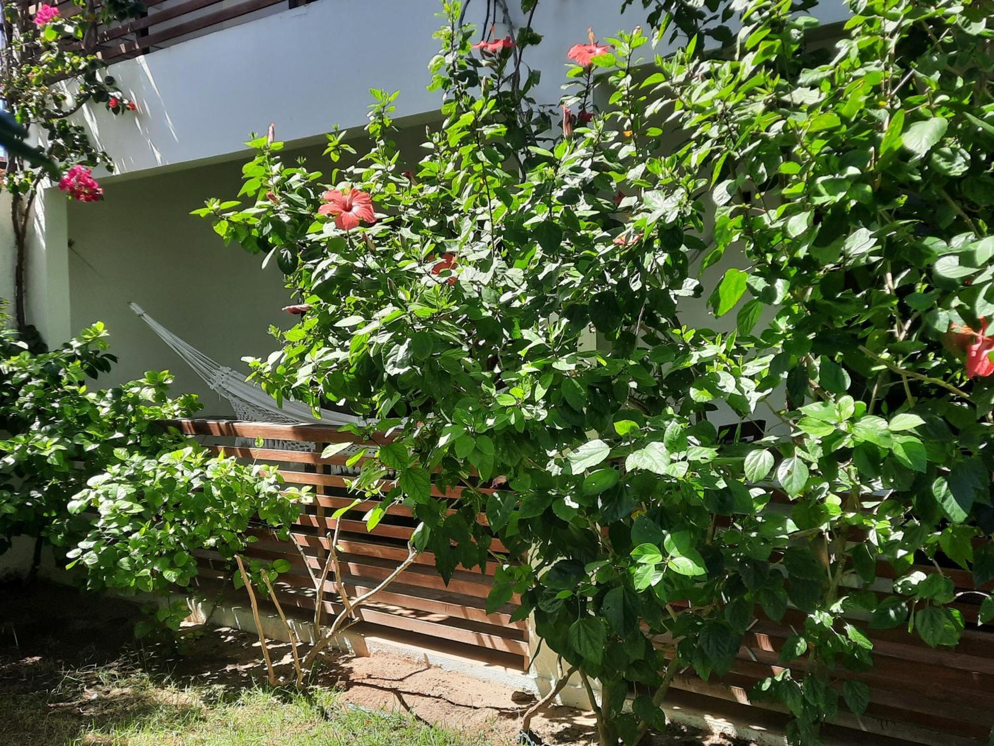 Willa Casa Betti Jijoca de Jericoacoara Zewnętrze zdjęcie